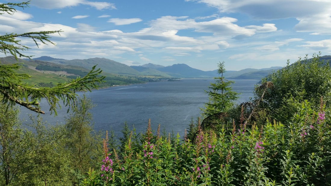 Viewing point above Loch Carron